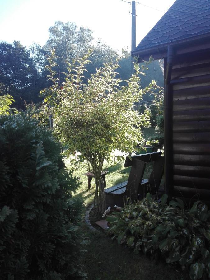 Apartament Leszczynowa 7 Blisko Zatora Spytkowice  外观 照片