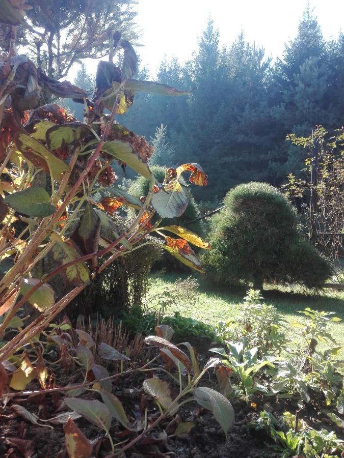 Apartament Leszczynowa 7 Blisko Zatora Spytkowice  外观 照片