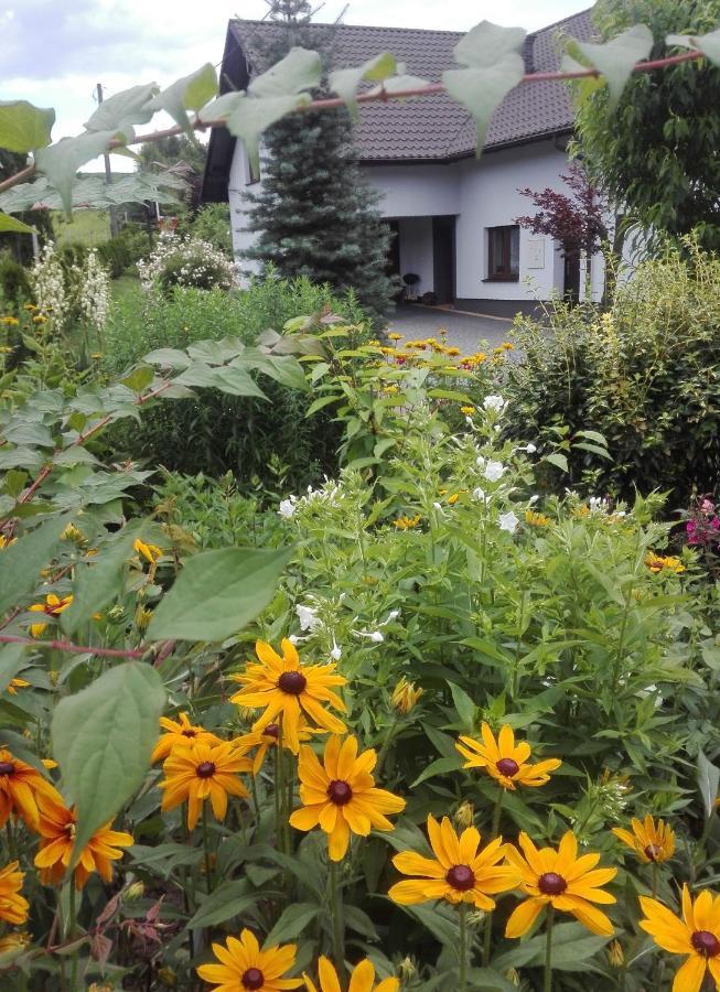 Apartament Leszczynowa 7 Blisko Zatora Spytkowice  外观 照片